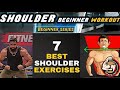 7 best shoulder workout for beginners  shehroz fitness