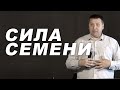 Дмитрий Макаренко – Сила семени (2019)