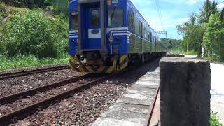4621次區間車舞鶴號誌站停靠等候交會