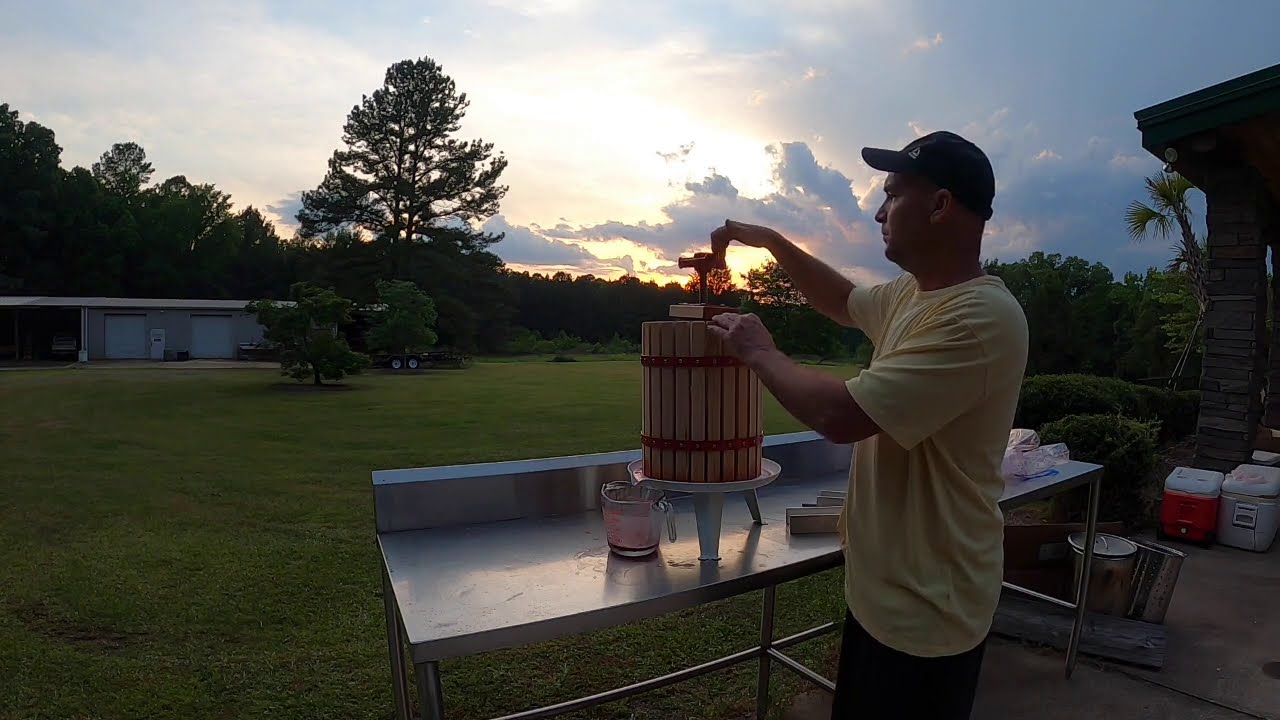 homemade wine from fresh fruit vol 1 YouTube