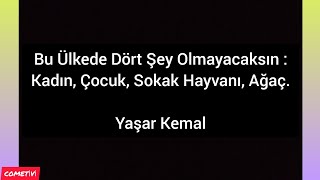 Bu Ülkede Dört Şey Olmayacaksın Kadın, Çocuk, Sokak Hayvanı Ve Ağaç. Yaşar Kemal Ir