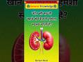 कौन सी सब्जी खाने से किडनी हमेशा स्वस्थ रहती है #health #kidneyhealth #kidney #gk #kidneycare #short