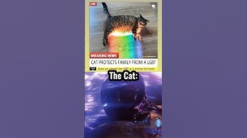 Someone said Nyan cat 🗿 #meme #memes #funny #cat