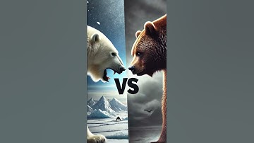 AI Fusion Creations: Surreal Creatures from Animals and Objects! #animals #ai #fusion