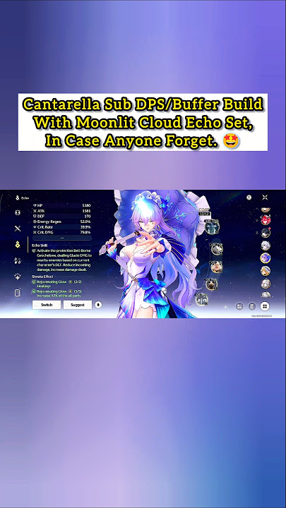 Cantarella Sub DPS/Buffer Build Moonlit Clouds Echo Set (4th Echo). #wutheringwaves #kurogames #wuwa
