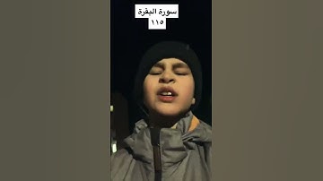 سورة البقرة ءاية ١١٥ - surah Al-Baqarah ayah 115
