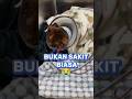 Cepat sembuh ya😿#fypviral #youtubeshort #shortviral #catrescue