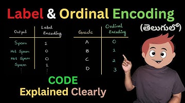 12. Label & ordinal Encoding Code Example Explained| Data Pre-processing | Data Cleaning