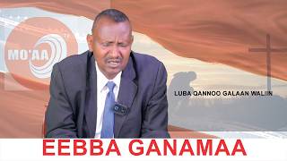 Eebba Ganamaa Luba Qannoo Galaan Waliin  769