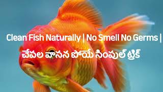 Fish Clean ఇలా చేస్తే వాసన ఉండదు | Natural Trick Smell &amp; Bacteria Remove
