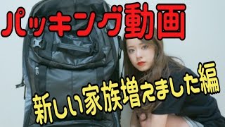 [極ゆる]パッキング動画!! 〜新しい家族が増えました編〜
