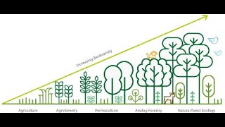 Foresterie Analogue - Bastien Beaufort