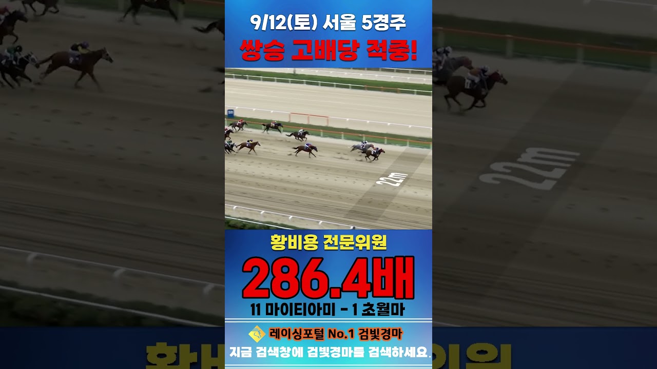 [서울 경마] 9월 12일 토요 5경주 황비용 전문위원 쌍승 고배당 적중 #경마 #automobile #한국마사회 #horse #하이라이트 #korean #비트코인 #뉴스 #주식