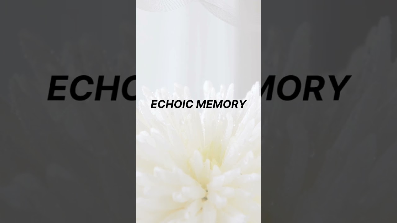 Word Web (Series) ep 20