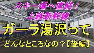 【行先探訪#58後】たまに見かける行先「ガーラ湯沢」ってどんなところなのかレポートします！【後編】