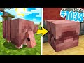 BUILD con il BLOCCO di ARMADILLO - Minecraft ITA SURVIVAL #1038
