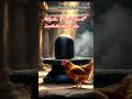 శివుడు కోడి రూపంలో ఎందుకు ఉన్నాడు రహస్యం తెలుసా #puranalu #facts #mythology