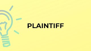 What is the meaning of the word PLAINTIFF?