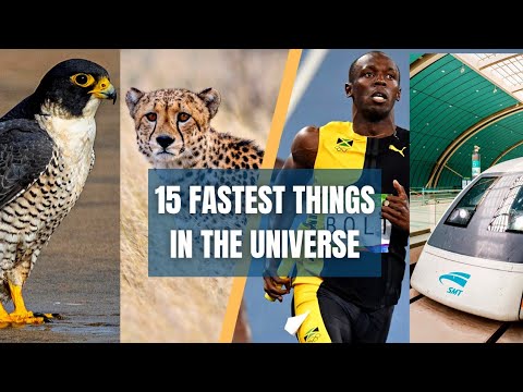 Top #15 Fastest Things in the Universe | Planet falls - YouTube