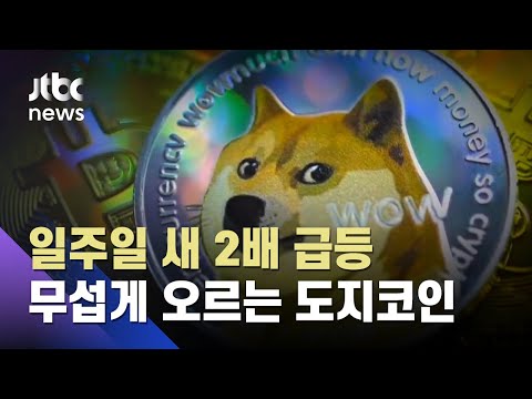   취미 삼아 만든 도지코인 시총 4위 모더나 GM 제쳤다 JTBC 뉴스ON