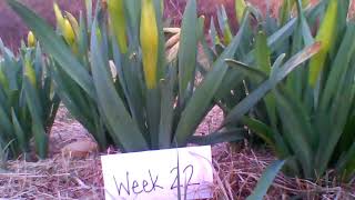 Spelling Test Week 22