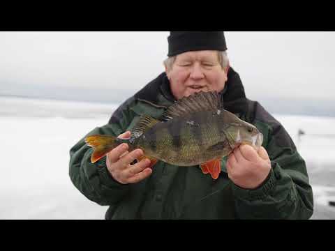 Зимняя рыбалка на просторах Онежского озера. Ловля окуня, налима, сига. База “Форт пост Онега”.