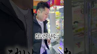 ついにコスさんがボンボンドロップシールを欲しがるようになった... #shorts