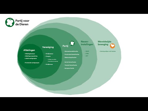 Organogram - Hoe is de partij georganiseerd?