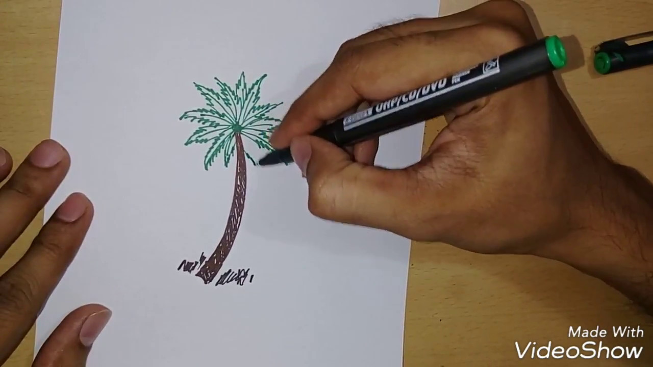 bacho ki drawing 5 !! coconut tree drawing for kids YouTube