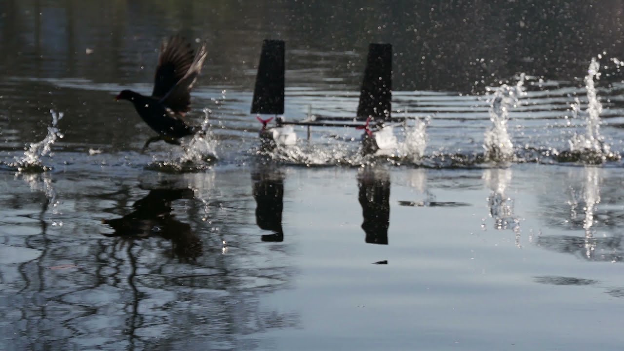André Tristany Farinha​ - Micro air vehicles for remote sensing in multi-terrain environments​