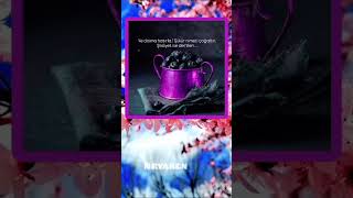 Şükür Nimeti Çoğaltır. Şikayet Ise Dertleri