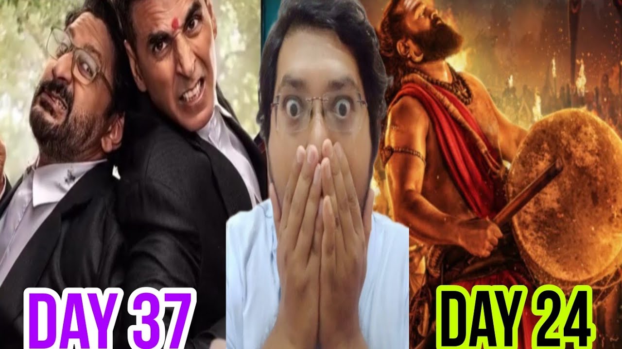 JOLLY LLB 3 DAY 37 COLLECTION| KANTARA CHAPTER 1 DAY 24 COLLECTION | KANTARA 2 PREDICTION BOX OFFICE