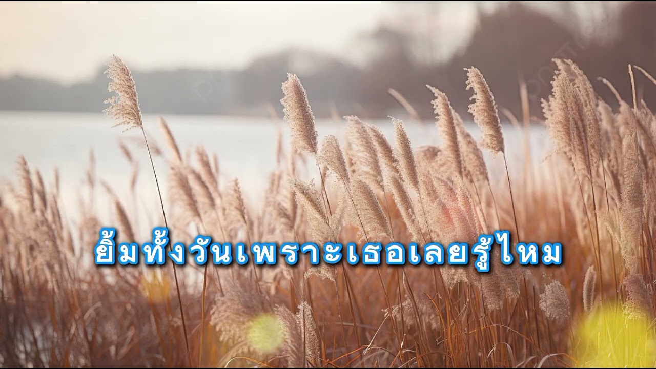 ยิ้มทั้งวันเพราะเธอเลยรู้ไหม🎧 | SK REMIX | ai song |