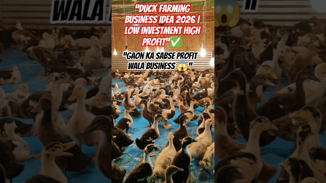 “Gaon ka Sabse Profit Wala Business 😱”