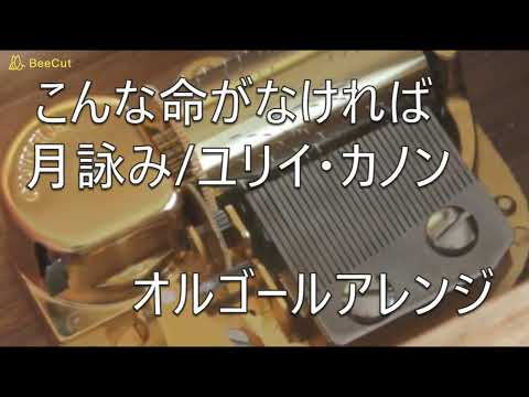 【月詠み Tsukuyomi】こんな命がなければ If There is not Such a Life / ユリイ・カノン【オルゴール】