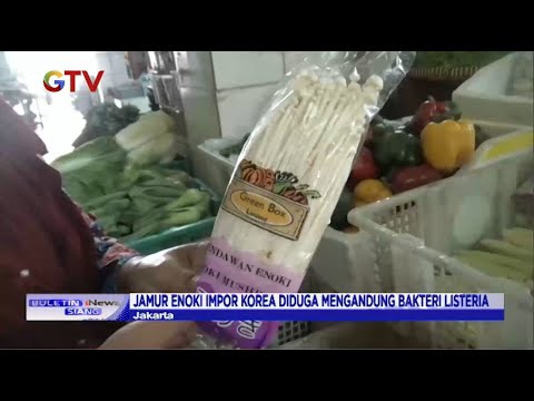 Jamur Enoki Dari China Apakah Berbahaya