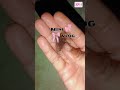 , EP:- 1 #trending #recipe