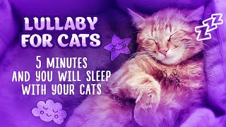 RELAXING MUSIC FOR CATS 🐱💤 Relaxing Lullaby for Cat and Kitten