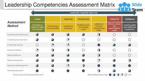 Leadership Competencies Assessment Matrix