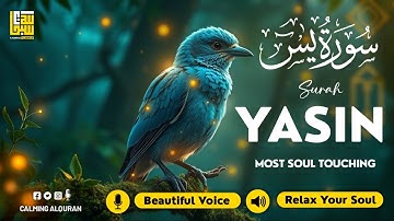 Surah Yasin (Yaseen) سورة يس ✦ Beautiful voice heart touching ✦ Majestic Quran For Sleep ✦ Alaa Aqel