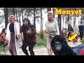 Monkey prank funniest || Wanita ini menjerit histeris
