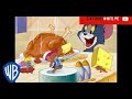 Stay Active! | Classic Cartoon Compilation