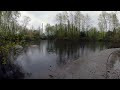 1 Hour Rainy Park Ambience 🌧️ Real | 1440p 60FPS Nature Video”