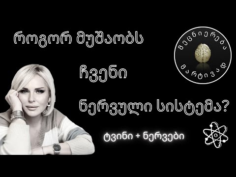 როგორ მუშაობს ჩვენი ნერვული სისტემა - ტვინი და ნერვები  #1