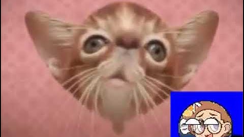 Preview 2 Numa Cat 2022 V1 5 Opposite Center Effects