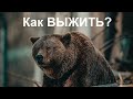 Средства защиты от медведя | Как защититься от медведя в лесу, спастись от волка, кабана, собаки