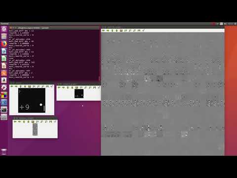Reinforcement machine learning Vanilla Policy Gradient from pixels C++ OpenCV