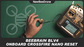 BeeBrain BLV4 Crossfire Nano Receiver Reset