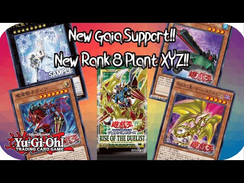 yugioh rise of the duelist card list Yugioh Discussion: Gaia + Curse of Dragon Support in Rise of the Duelist!!