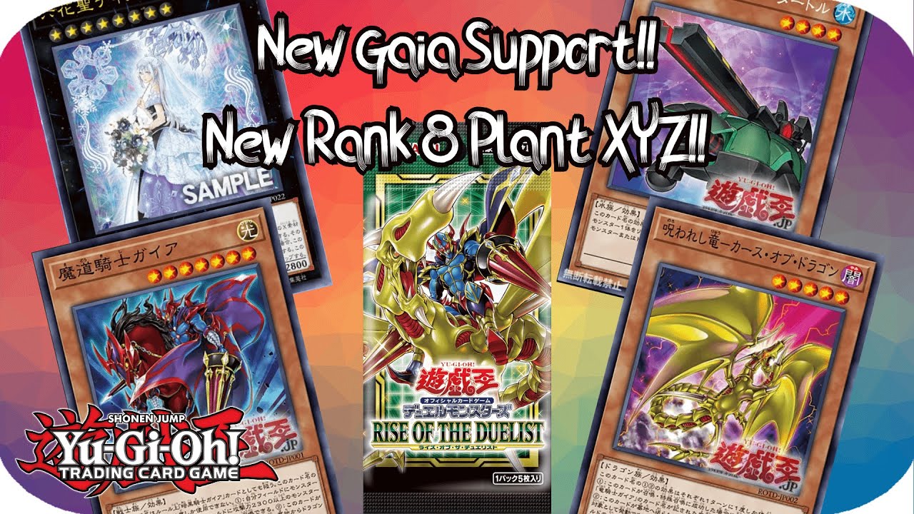 Yugioh Discussion: Gaia + Curse of Dragon Support in Rise of the Duelist!!